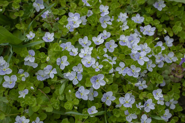 Similar image 21260537