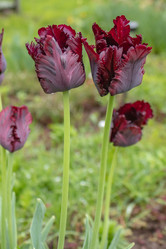 Similar image 21260900