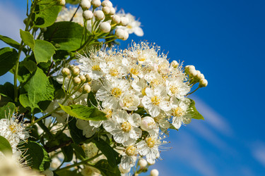 Similar image 21260901