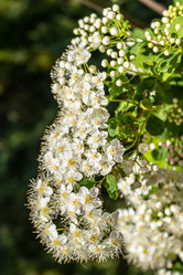 Similar image 21260902