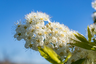 Similar image 21260904