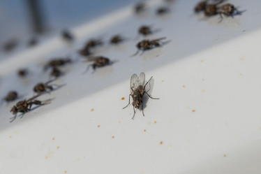 Similar image 21260906