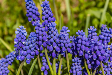 Similar image 21260907