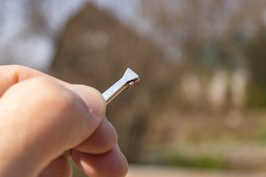 Similar image 21260911