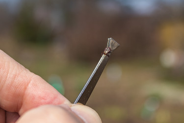 Similar image 21260912