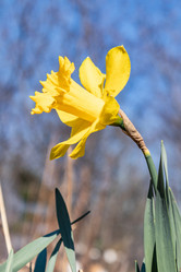 Similar image 21260913