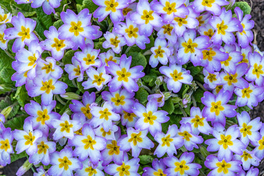 Similar image 21260914