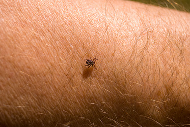 Similar image 21260538