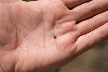 Similar image 21266878