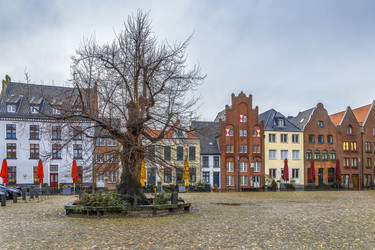 Similar image 21263959