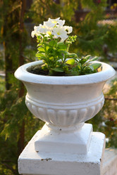 Similar image 21283872