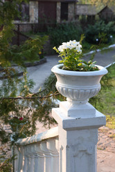 Similar image 21283873