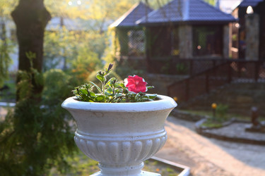 Similar image 21280820