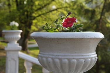 Similar image 21280822