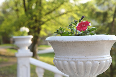 Similar image 21280824