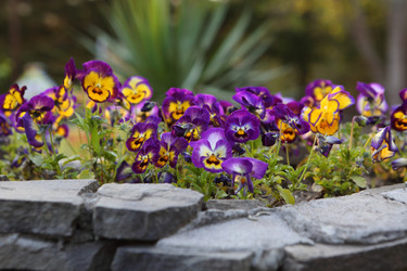 Similar image 21277487