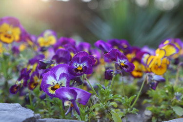 Similar image 21277488