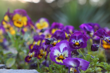 Similar image 21277489