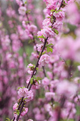 Similar image 21277493