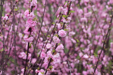 Similar image 21277494