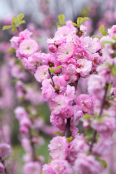 Similar image 21277495