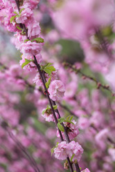 Similar image 21277496