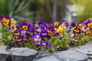 Similar image 21277497