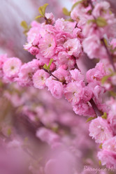 Similar image 21277498