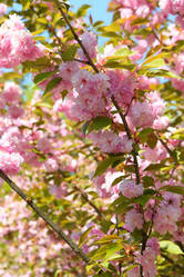 Similar image 21277500