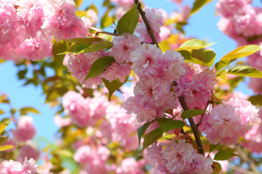 Similar image 21277501