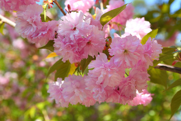 Similar image 21277502