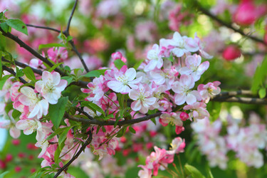 Similar image 21280825