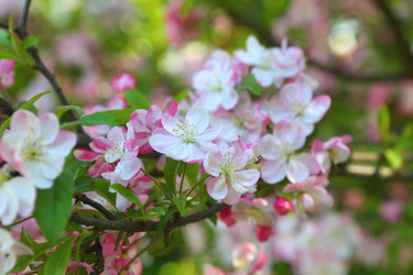 Similar image 21280826