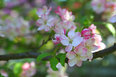 Similar image 21280827