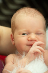 Similar image 21263605