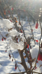 Similar image 21276737