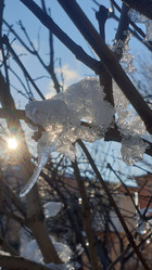 Similar image 21276740