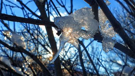 Similar image 21276741