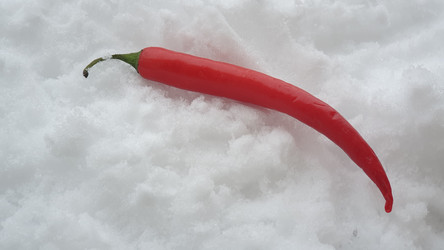 Similar image 21276745