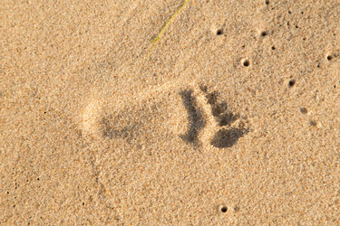 Similar image 21269215