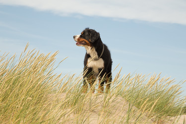 Similar image 21269232