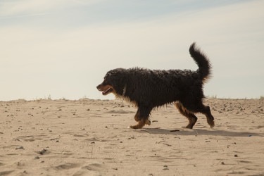 Similar image 21269234