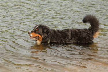 Similar image 21269235