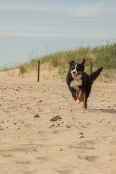 Similar image 21269236