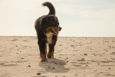 Similar image 21269237