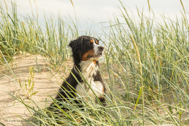 Similar image 21269240