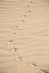 Similar image 21273518