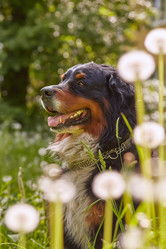 Similar image 21273521