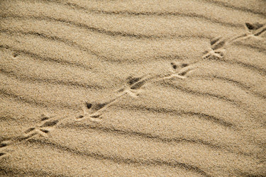 Similar image 21273522