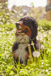 Similar image 21273523